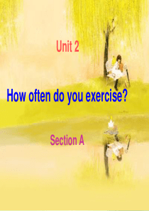 人教版八上Unit2-How-often-do-you-exercise全单元课件