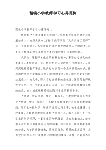 精编小学教师学习心得范例