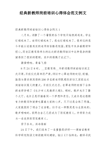 经典新教师岗前培训心得体会范文例文