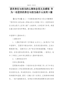 团员责任与担当的心得体会范文及感悟 作为一名团员的责任与担当是什么实用3篇