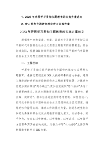 2023年开展学习贯彻主题教育及理论学习实施方案范文2篇