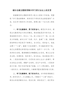 镇长在镇主题教育集中学习研讨会议上的发言范文