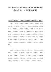 2023年学习关于树立和践行正确政绩观的重要论述研讨心得体会、发言提纲（2篇稿）