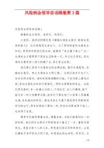 风险例会领导讲话稿集聚3篇