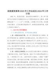 县数据资源局2023年工作总结及2024年工作计划