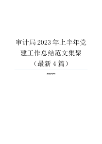 审计局2023年上半年党建工作总结范文集聚（最新4篇）