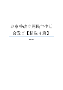 巡察整改专题民主生活会发言【精选4篇】