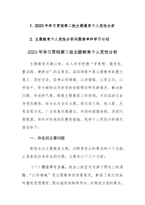 2023年学习贯彻第二批主题教育个人党性分析报告及个人党性分析问题清单和学习计划表范文2篇