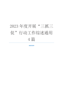 2023年度开展“三抓三促”行动工作综述通用4篇