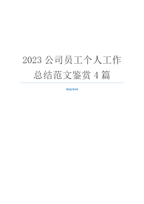 2023公司员工个人工作总结范文鉴赏4篇