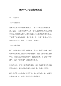 教师个人专业发展规划分析