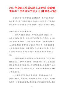 2023年金融工作总结范文及计划_金融销售年终工作总结范文以及计划【热选4篇】