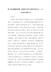 第二批主题教育党课深刻学习当代中国马克思主义二十一世纪马克思主义