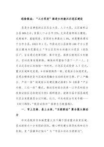 经验做法三力同发推进乡村振兴示范区建设