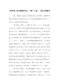 X领导第二批主题教育发言力避三虚抓实主题教育