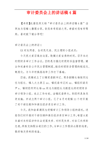 审计委员会上的讲话稿4篇