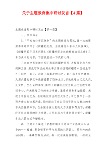 关于主题教育集中研讨发言【4篇】