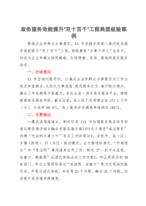 政务服务效能提升“双十百千”工程典型经验案例