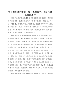 团支部书记主题教育研讨发言：努力提升政治能力、思维能力、实践能力