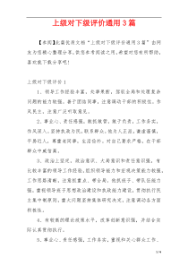 上级对下级评价通用3篇