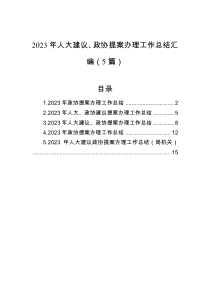 2023年人大建议、政协提案办理工作总结汇编（5篇）