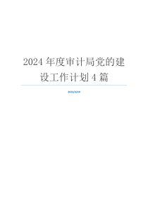 2024年度审计局党的建设工作计划4篇