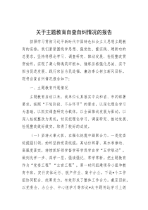 关于主题教育自查自纠情况的报告