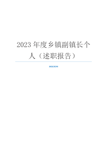 2023年度乡镇副镇长个人（述职报告）