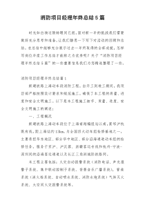 消防项目经理年终总结5篇