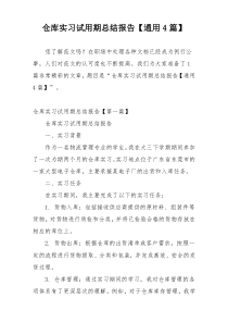 仓库实习试用期总结报告【通用4篇】