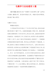 毛概学习总结通用3篇