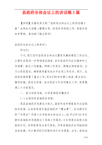 县政府全体会议上的讲话稿3篇