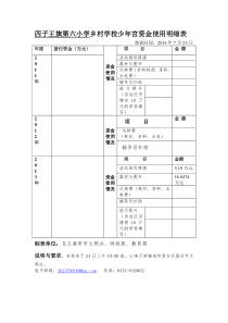 乡村学校少年宫资金使用明细报表