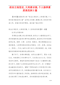 政治立场坚定,大局意识强,个人修养素质高范例5篇