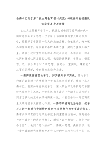 县委书记关于第二批主题教育研讨交流持续推动检视整改切实提高发展质量