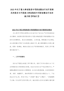 2023年关于重大事故隐患专项排查整治行动开展情况的报告与开展重大事故隐患专项排查整治行动实施方