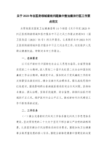 关于2023年在医药领域腐败问题集中整治廉洁行医工作要点范文