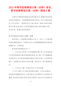 2023年春节促销策划方案（实例）前言_春节促销策划方案（实例）精选5篇