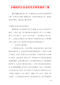 乡镇组织生活会的发言简短通用3篇