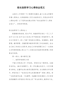 校长挂职学习心得体会范文