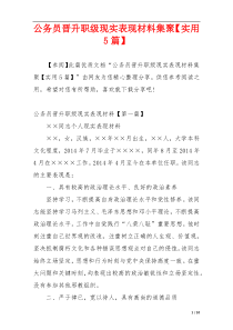 公务员晋升职级现实表现材料集聚【实用5篇】