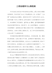 三项治理学习心得范例