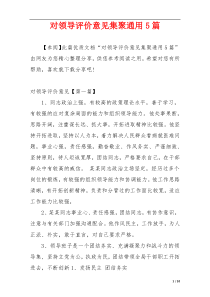 对领导评价意见集聚通用5篇