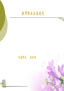 一、教师职业生涯规划