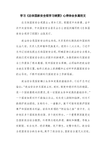 学习《总体国家安全观学习纲要》心得体会多篇范文