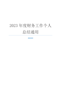 2023年度财务工作个人总结通用