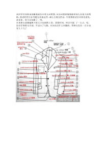 服装部位中英文对照图