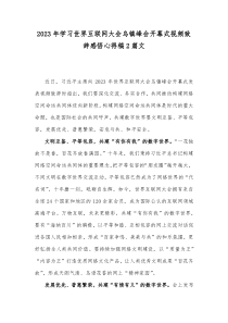 2023年学习世界互联网大会乌镇峰会开幕式视频致辞感悟心得稿2篇文