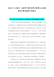 2023年（2篇文）全面学习践行世界互联网大会乌镇峰会开幕式致辞心得体会