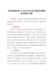 市贯彻落实第xx轮中央生态环境保护督察报告整改方案